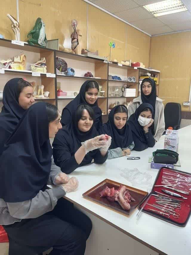تشریح شش و قلب توسط دبیر زیست خانم قنواتی